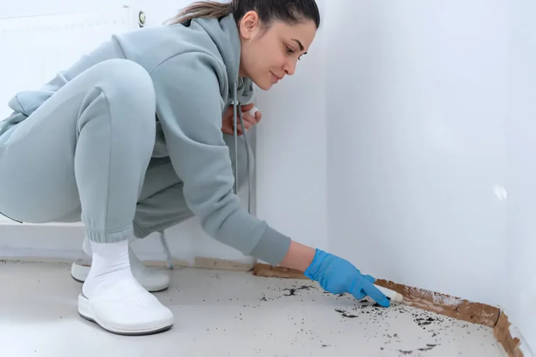 Discover Effective Remedies for Removing Black Mold From Your Home