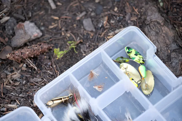 The Complete Guide to Fishing Bait Live, Artificial, and Fly