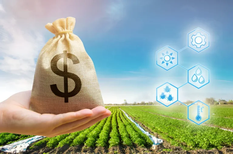 The Financial Strategies to Build a Profitable Agribusiness