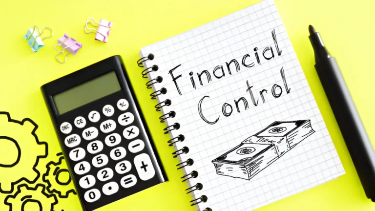 Understanding the Importance of Internal Financial Controls