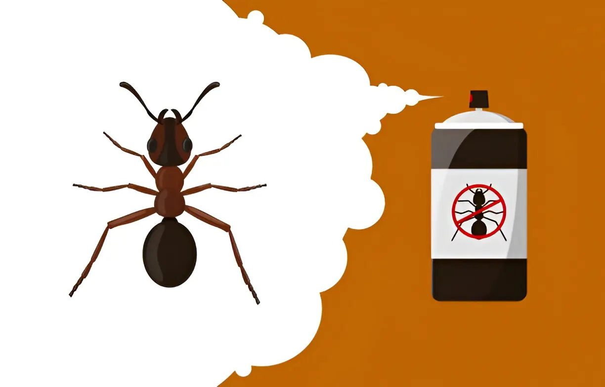 Benefits of Hiring Professional Ant Pest Control in Melbourne for Long-Term Results