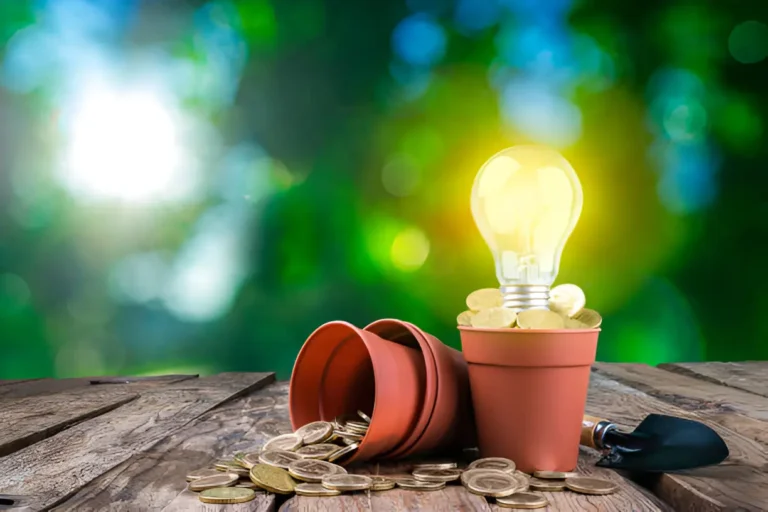 Financial Insights into the Growing Digital Leisure Economy 