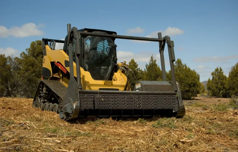 Smart Reasons to Choose Eco-Friendly Forestry Mulching Services in Concord