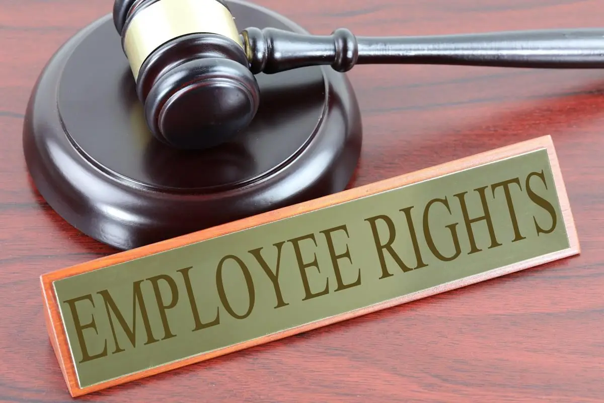 Workplace Rights in the Modern World: Employee Protections and Common Challenges