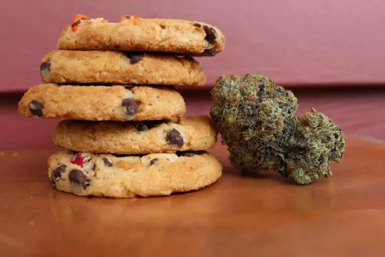 Cannabis Edibles A Complete Guide for Beginners