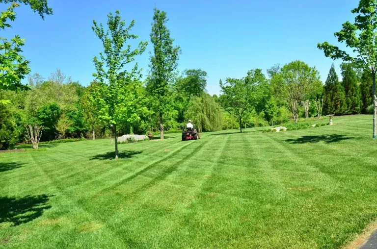 Common Lawn Pests and How to Manage Them