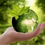 Eco-Friendly Landscaping Sustainable Practices for Every Garden