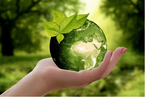 Eco-Friendly Landscaping Sustainable Practices for Every Garden